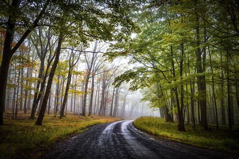 The Backroads Photograph by Lj Lambert - Fine Art America