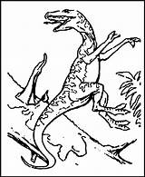 Free Printable Dinosaur Coloring Pages For Kids sketch template