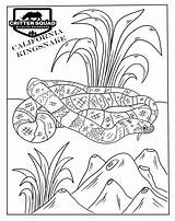 Snake Coloring Pages  CSWD sketch template