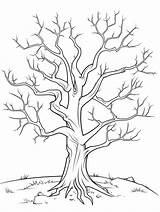 🖍️ Bare Tree  Printable Coloring Page For Free Puplacom sketch template