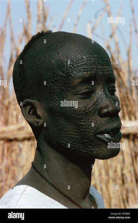 Sudan - Men ethnic Nuer with ornamental scarification on his face Stock ...