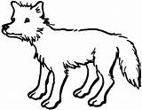 Free Printable Coyote Coloring Pages For Kids sketch template