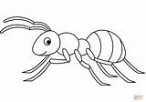Cute Ant coloring Page  Free Printable Coloring Pages sketch template