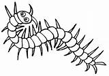 Centipede Page Printable Coloring Pages sketch template