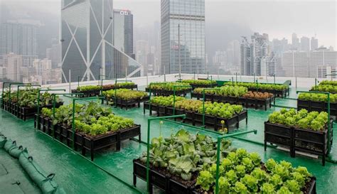 TSS EXCLUSIVE – Urban Vertical Farming: The Future is City-Raised Food ...