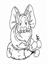 Chinchilla Malvorlagen – Kostenlose Zum Ausdrucken sketch template