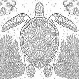 National Geographic Coloring Book  Behance sketch template