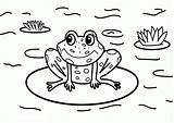 Printable Frog By A Pond Coloring Pages  K5 Worksheets coloring sketch template