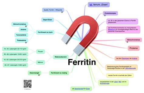 Ferritin Test Everything you Need to Know Apollo Hospital Blog