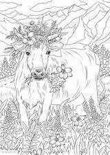 Cow In Flowers Printable Adult Coloring Page From Favoreads coloring  sketch template