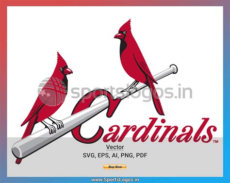 St Louis Cardinals - Baseball Sports Vector Svg Logo In 5 Formats ...