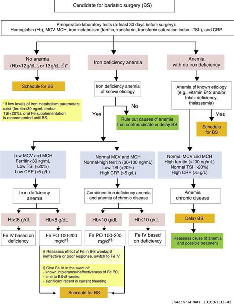 Iron Deficiency Anemia Pathophysiology Flow Chart - Best Picture Of ...