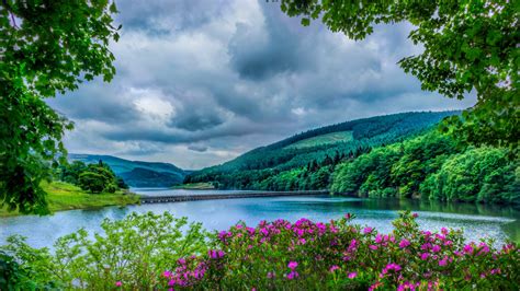 National Park Pik District Great Britain Nature Purple Flowers River Mountains Wallpaper For ...