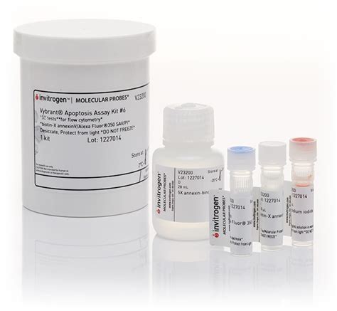 Vybrant Apoptosis Assay Kit #6, Biotin-X Annexin V/Alexa Fluor 350 ...