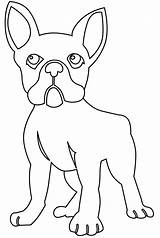 French Bulldog coloring Page  ColouringPages sketch template
