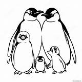 Penguin Family Coloring Page 56133 44401 sketch template