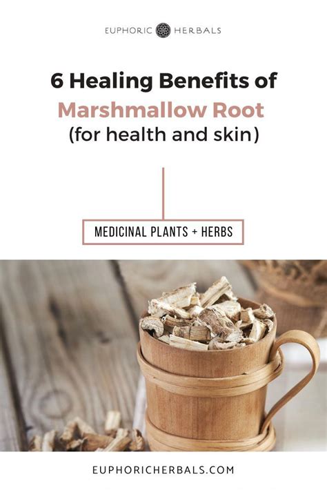 6 Healing Benefits of Marshmallow Root | Euphoric Herbals in 2020 | Herbalism, Herbs for health ...