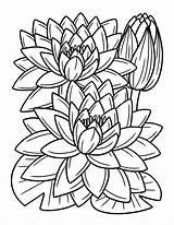 Premium Vector  Water Lily Flower Coloring Page For Adults sketch template