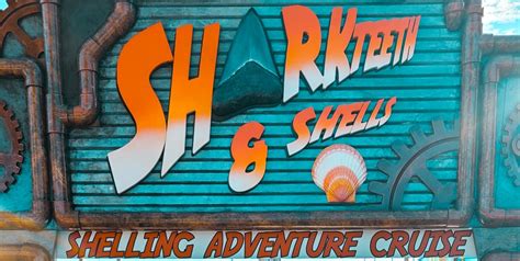 Shark Teeth and Shells