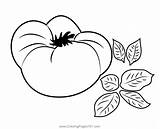 Fresh Big Tomato Coloring Page For Kids  Free Tomatoes Printable sketch template