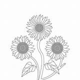 Sunflower Coloring Page And Book Hand Drawn Line Art Vector 20697472  sketch template