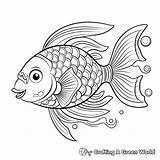 Rainbow Fish Coloring Pages  Free & Printable sketch template
