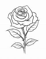 Free Rose Coloring Pages For Kids And Adults To Enjoy  Skip My Lou sketch template