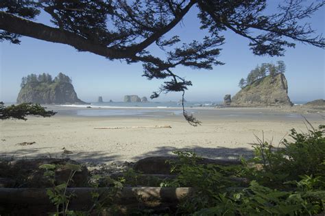 Second Beach, La Push, WA [2048x1360][OC] : r/EarthPorn