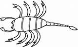 Scorpion Coloring Pages  Cool sketch template