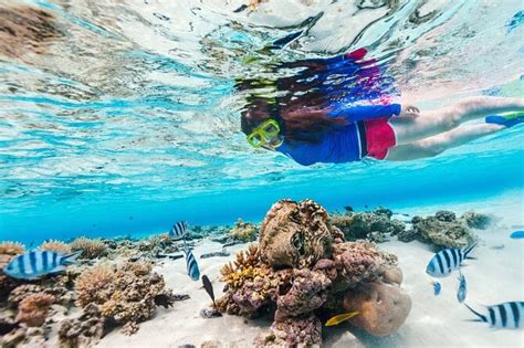 Snorkeling At Hanauma Bay