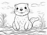Printable Otter Coloring Sheet  Page sketch template