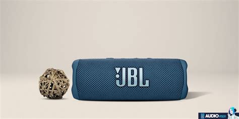 JBL Flip 6 Review: The Same But Better!