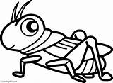 Simple Cute Grasshopper Free Coloring Pages  Cool sketch template