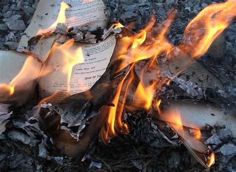 Photo: book burning. Credit: LearningLark; Wikimedia Commons. Read more on the GenealogyBank ...