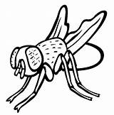 Fly coloring Page  Animals Town Animal color Sheets Picture sketch template