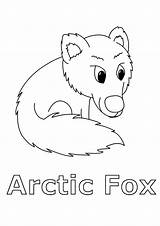Arctic Animals Coloring Pages sketch template