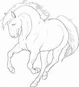 Paarden Kleurplaat Dieren  Horse coloring pages sketch template