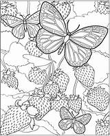 Best Coloring Pages For Kids At GetColoringscom  Free Printable sketch template