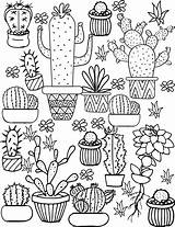 Cactus and Succulent Printable Adult Coloring Pages sketch template