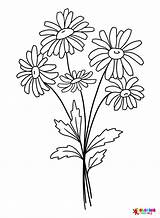 40  Daisy Coloring Pages Free Printable PDF JPG PNG & Online Coloring sketch template