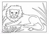 Mewarnai Singa Hewan Macan Harimau Binatang Kucing Malvorlage Bonikids  sketch template