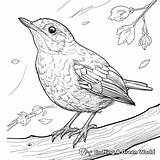 Michigan Coloring Pages  Free & Printable sketch template