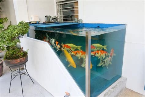 Tampines HDB residents keep koi fish in 'pond' built into multi-step ...