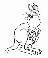 Free Printable Kangaroo Coloring Pages For Kids sketch template
