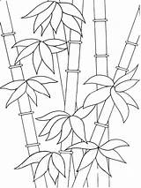 Bamboo Coloring Pages Children Printable Sketch Page sketch template
