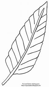 Palm Leaf Coloring Pages  Learny Kids sketch template