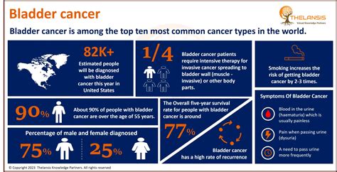 Bladder Cancer: Symptoms and Incidence - THELANSIS