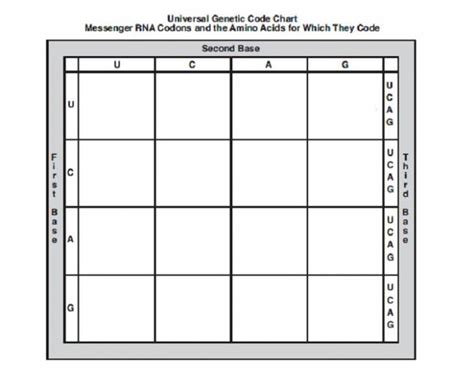 Amino Acid Chart Quiz