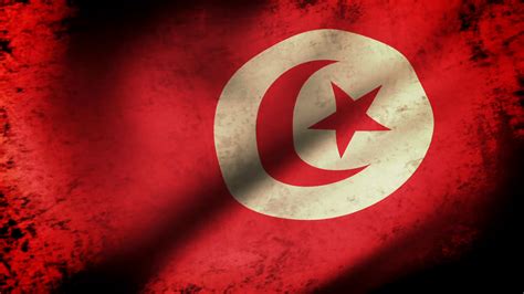 Free photo: Tunisia Grunge Flag - Africa, Resource, Moon - Free ...