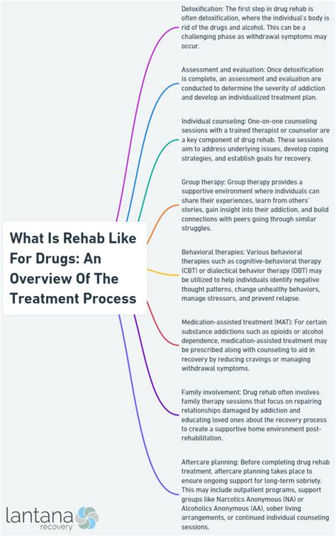 What is Rehab Like for Drugs: An Overview of the Treatment Process - Lantana Recovery: Addiction ...